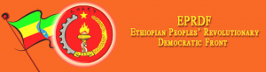 ETHIOPIA ELECTIONS 2015 - CAMPAIGN