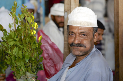 This man is holding the Qat plant. Credit : FoodFusion